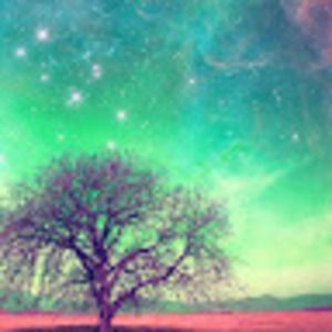 Meet your Posher, Miss